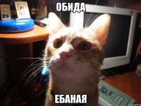 обида ебаная