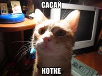 сасай котке