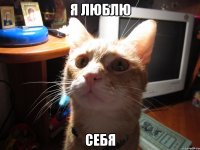 я люблю себя