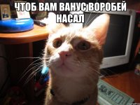 чтоб вам ванус воробей насал 