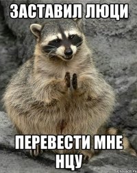 заставил люци перевести мне нцу