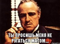  ты просишь меня не ругаться матом....