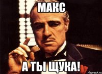 макс а ты щука!