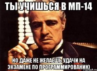 ты учишься в мп-14 но даже не желаешь удачи на экзамене по программированию