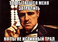 ты пытаешся меня затралить но ты не истинный трал