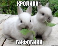 кролики - бифобики