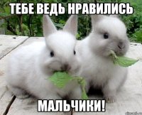 тебе ведь нравились мальчики!