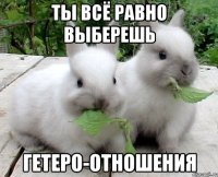 ты всё равно выберешь гетеро-отношения
