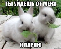 ты уйдешь от меня к парню