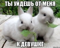 ты уйдешь от меня к девушке