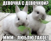 девочка с девочкой? ммм... люблю такое!