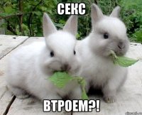 секс втроем?!