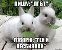 пишу: "лгбт" говорю: "геи и лесбиянки"