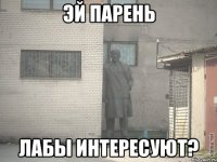 эй парень лабы интересуют?