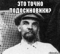 это точно подосиновики? 