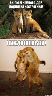 Выпьем немного, для поднятия настроения! нихуюшеньки!