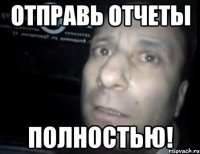 отправь отчеты полностью!