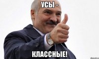 усы - классные!