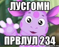 лусгомн првлул 234