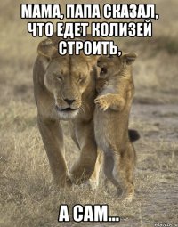 мама, папа сказал, что едет колизей строить, а сам...