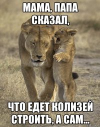 мама, папа сказал, что едет колизей строить, а сам...