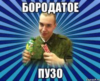 бородатое пузо