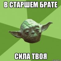 в старшем брате сила твоя