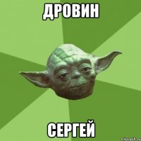 дровин сергей