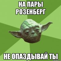 на пары розенберг не опаздывай ты
