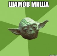 шамов миша 