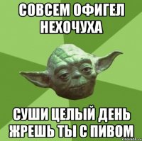 совсем офигел нехочуха суши целый день жрешь ты с пивом