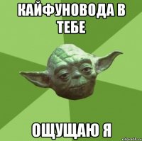 кайфуновода в тебе ощущаю я