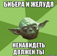 бибера и желудя ненавидеть должен ты