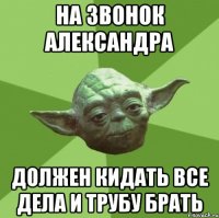 на звонок александра должен кидать все дела и трубу брать