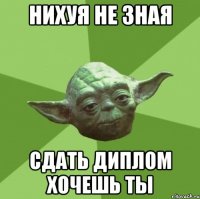 нихуя не зная сдать диплом хочешь ты