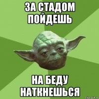 за стадом пойдешь на беду наткнешься