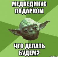 медведикус подарком что делать будем?