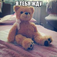 я тебя жду 