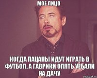 МОЕ ЛИЦО КОГДА ПАЦАНЫ ИДУТ ИГРАТЬ В ФУТБОЛ, А ГАВРИКИ ОПЯТЬ УЕБАЛИ НА ДАЧУ
