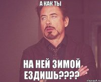 а как ты на ней зимой ездишь???