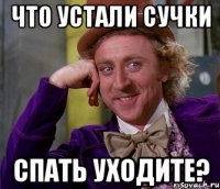 что устали сучки спать уходите?