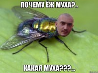 почему ёж муха?.. какая муха???...