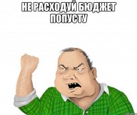 не расходуй бюджет попусту 