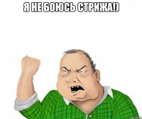 я не боюсь стрижа!) 