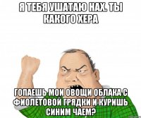 я тебя ушатаю нах. ты какого хера гопаешь мои овощи облака с фиолетовой грядки и куришь синим чаем?