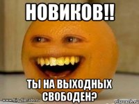 новиков!! ты на выходных свободен?