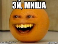 эй, миша 