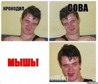 Крокодил Сова МЫШЬ!