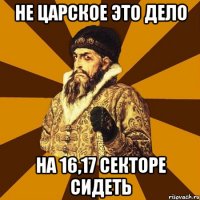 не царское это дело на 16,17 секторе сидеть