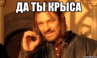 да ты крыса 